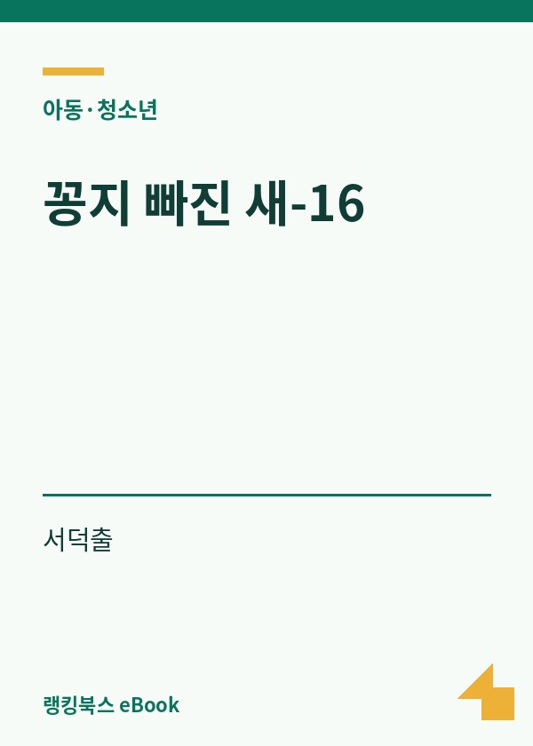 꽁지 빠진 새-16 표지