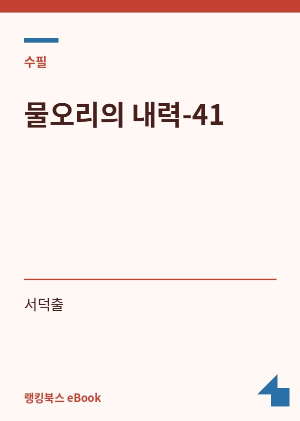 물오리의 내력-41 표지