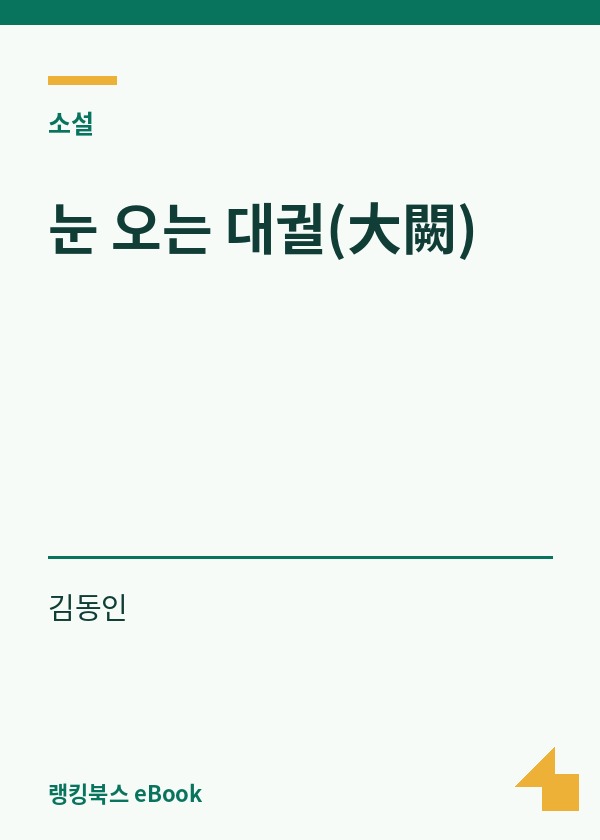 눈 오는 대궐(大闕) 표지