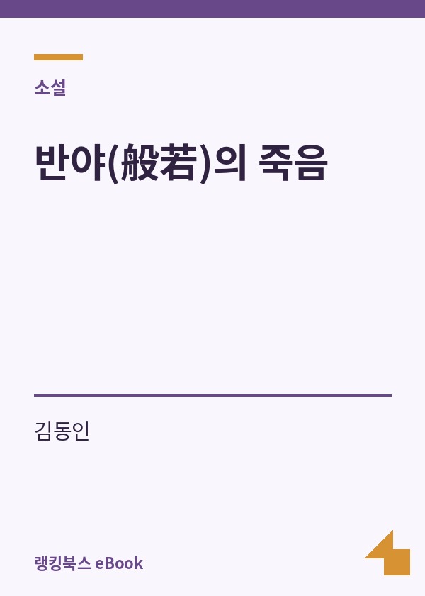 반야(般若)의 죽음 표지