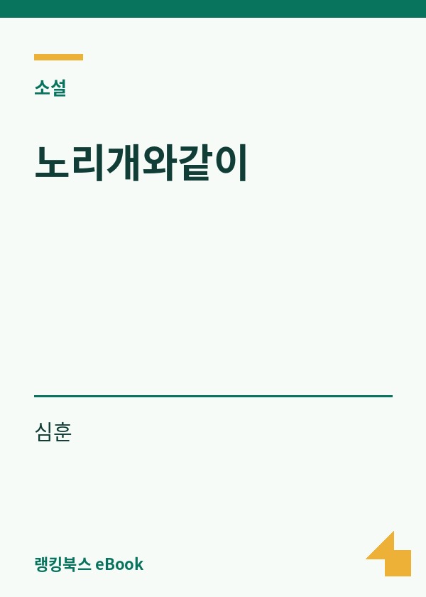 노리개와같이 표지